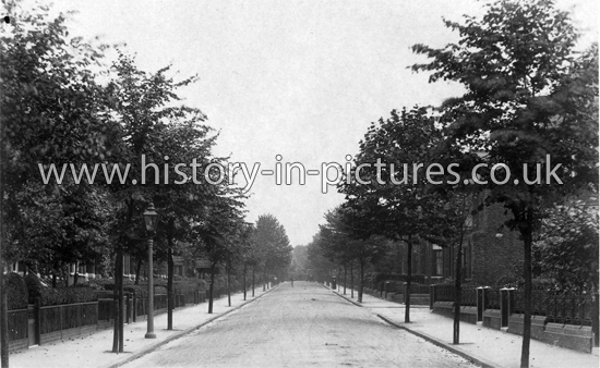 Linthorpe Road, Stoke Newington, London. 1906.